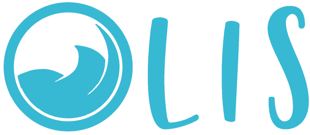 LIS. Control remoto y App para lavanderías autoservicio